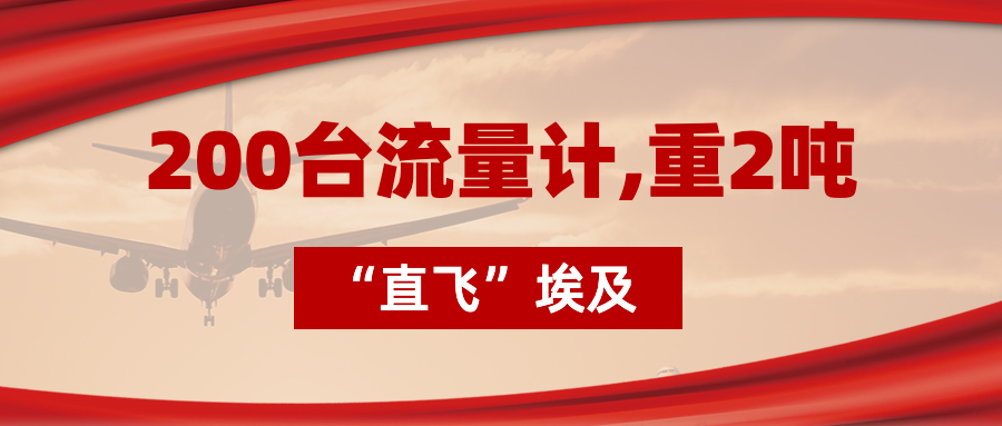 200臺流量計“直飛”埃及，重2噸，運費10萬